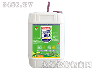 _360ǌ(zhun)ã-h
