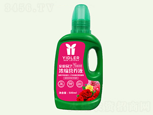 ͥ@ˇIB(yng)Һõ¼-