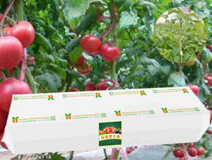 ѹ|Nֲ-