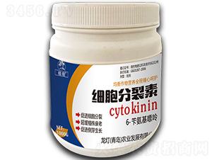 أ1000g-ֲ^-rI(y) 