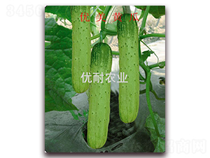 (yu)S-SϷN-(yu)rI(y)