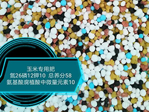 ׌ðḯֲ΢Ԫ26-12-10-rrI(y)