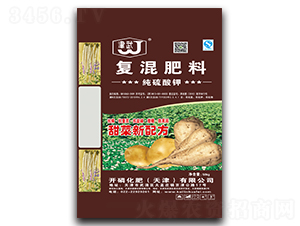 ˌ(zhun)Ï(f)-_(ki)׻