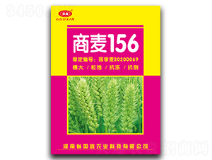 156-СN-ԥrI(y)