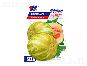 仨-ϷN-ԴrI(y)