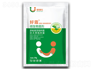 ˪ù߲(zhun)΢-˪-ڼژ(l)