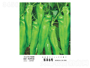 S6̖-r(chung)
