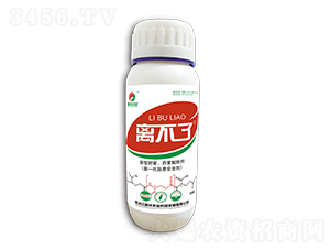 ͷʺˎ-x-irI(y)