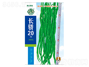 L(zhng)20-N-~H