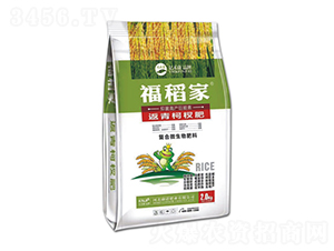 辷--ZʘI(y)